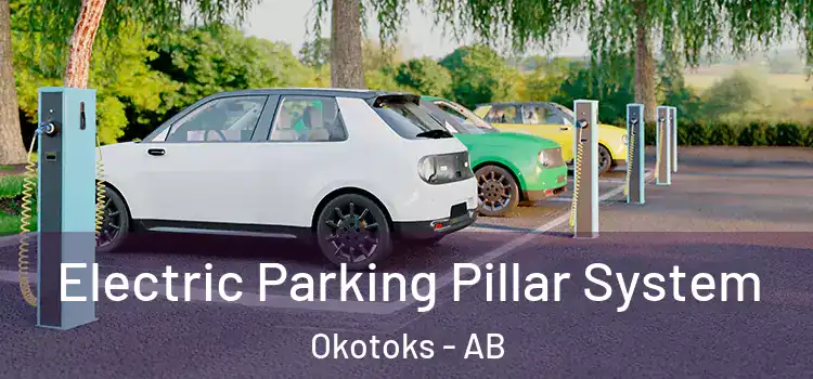  Electric Parking Pillar System Okotoks - AB