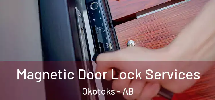 Magnetic Door Lock Services Okotoks - AB