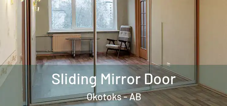  Sliding Mirror Door Okotoks - AB